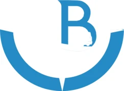 Bayline Port logosu